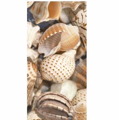 ДЕКОР SEA BREEZE SHELLS №3 БЕЖЕВЫЙ 300*600 #