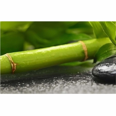 DECOR  RELAX №2 VERDE 250*400