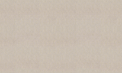 ОБОИ  S.Z. ZOLOTOI VEK 45-355-02