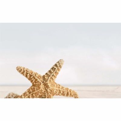 DECOR  SUMMER STONE HOLIDAY №3 BEJ 250*400