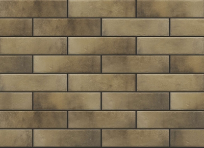 FAIANTA RETRO BRICK MASALA 245*65*8 (0.6)(68.4) 1C