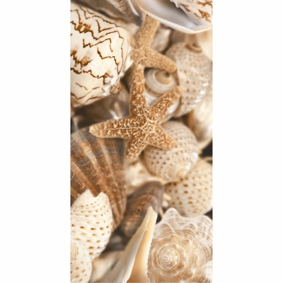 ДЕКОР SEA BREEZE SHELLS №1 БЕЖЕВЫЙ 300*600 #