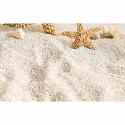 DECOR  SUMMER STONE HOLIDAY №3 BEJ 250*400