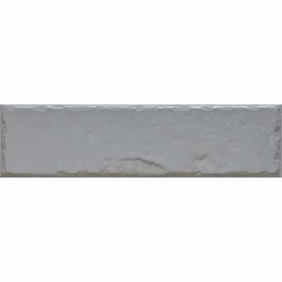FAIANTA FOGGIA GRIS 245*65 (0.6M)  1C