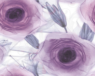 PANOU HAPPY LILA 20*50 (2BUC)    