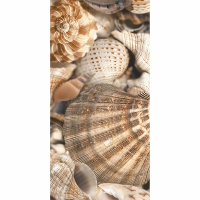 ДЕКОР SEA BREEZE SHELLS №2 БЕЖЕВЫЙ 300*600 #