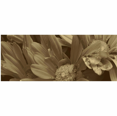 PANOU DIN STICLA BELISSA DIGITAL-2  200*500 