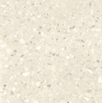 GRESIE TERAZZO BEIGE 60*60 1C