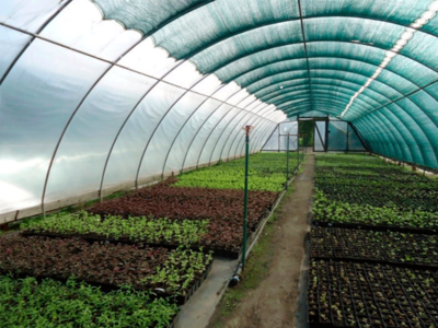 PLASA P/U UMBRIRE VERDE, LIGHT 38g/m2  (3M-50M) UMBRIRE 45%