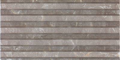 TERACOTA GRESIE ESS. RLV. AUREA GRIS 25*50