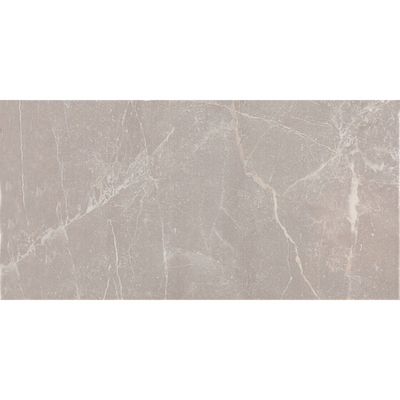 КЕРАМОГРАНИТ  ESS. AUREA PERLA 25*50