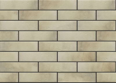 FAIANTA RETRO BRICK SALT 245*65*8 (0.6)(68.4) 1C