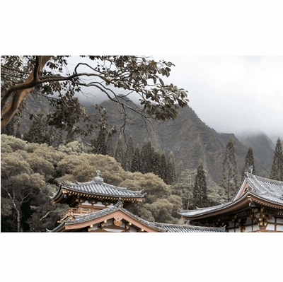 DECOR  BAMBOO BEJ №1 250*400