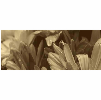 PANOU DIN STICLA BELISSA DIGITAL-1  200*500 