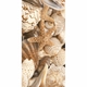 ДЕКОР SEA BREEZE SHELLS №1 БЕЖЕВЫЙ 300*600 #