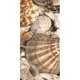 ДЕКОР SEA BREEZE SHELLS №2 БЕЖЕВЫЙ 300*600 #